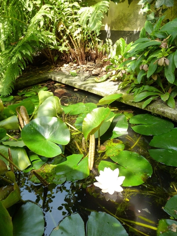 Imagen de los exteriores del Hotel Alegria, Brujas. Foto 12