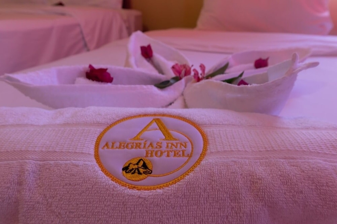 Imagen de la habitación del Hotel Alegrias inn hotel. Foto 8