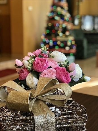 Imagen de los interiores del Hotel Alegro. Foto 19