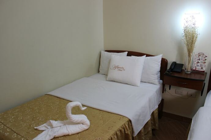 Imagen general del Hotel Alejandra, Chiclayo. Foto 10