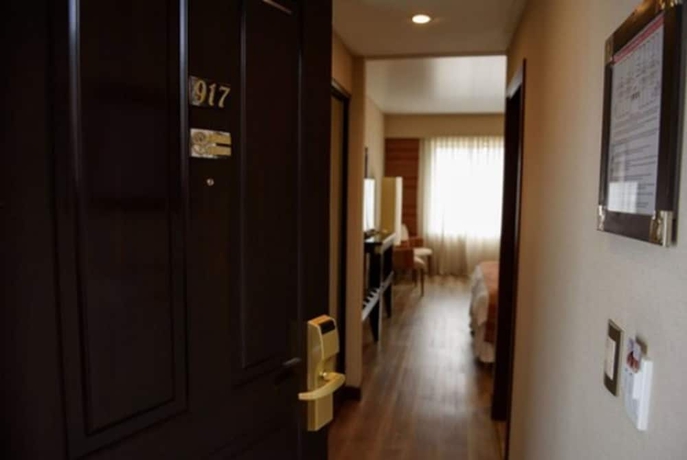 Imagen de la habitación del Hotel Alejandro I. Foto 15