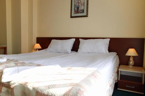 Imagen general del Hotel Aleksander. Foto 3