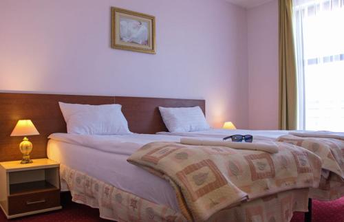 Imagen de la habitación del Hotel Aleksander. Foto 7