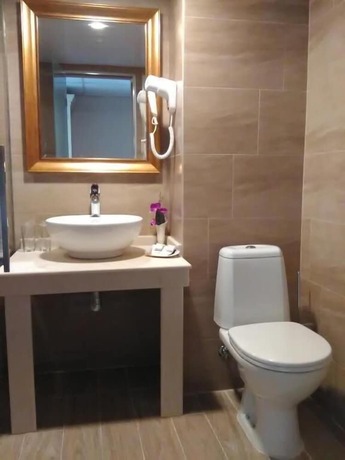 Imagen general del Hotel Alekta. Foto 14