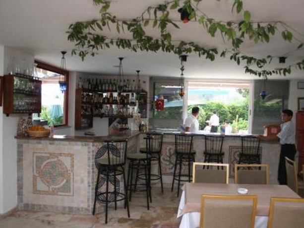 Imagen general del Hotel Alem Regency. Foto 3