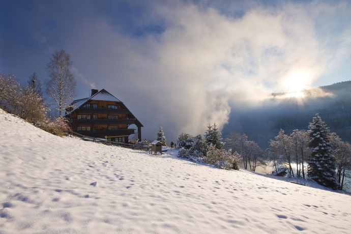 Imagen general del Hotel Alemannenhof - Boutique Hotel am Titisee. Foto 1
