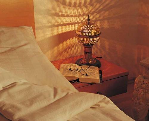 Imagen de la habitación del Hotel Aleo. Foto 3