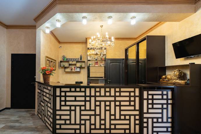 Imagen de los interiores del Hotel Aleon. Foto 18