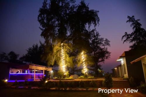 Imagen de la habitación del Hotel Alexa Private Beach Resort. Foto 19