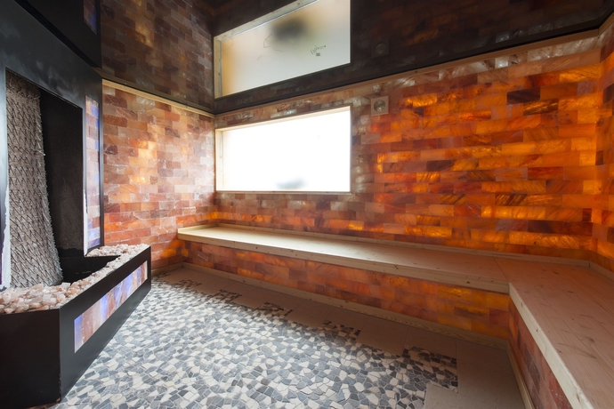 Imagen de la piscina del Hotel Alexain Hotel Restaurant & Wellness. Foto 12