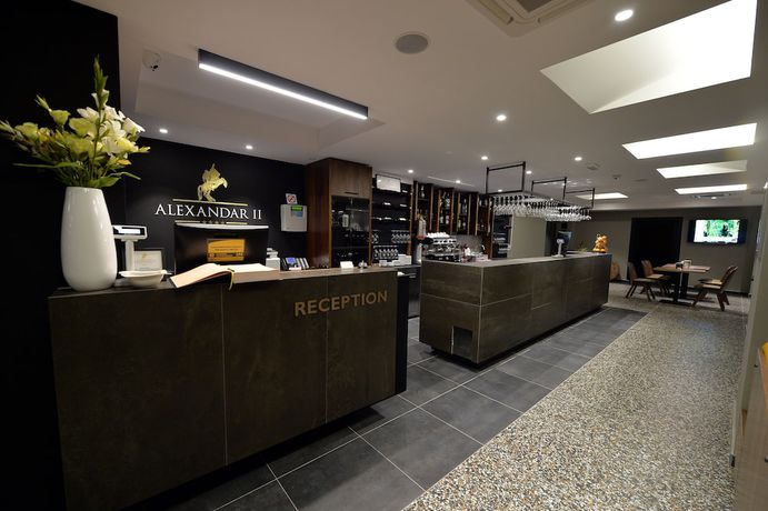 Imagen de los interiores del Hotel Alexandar II. Foto 19