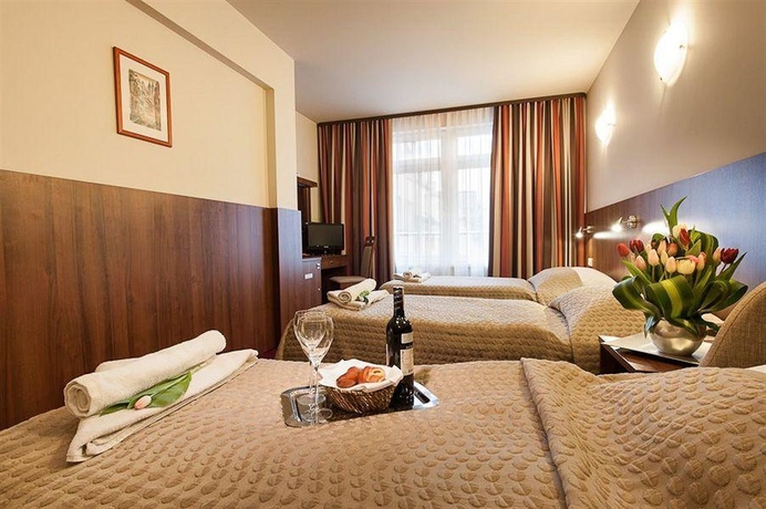 Imagen de la habitación del Hotel Alexander, Cracovia. Foto 13