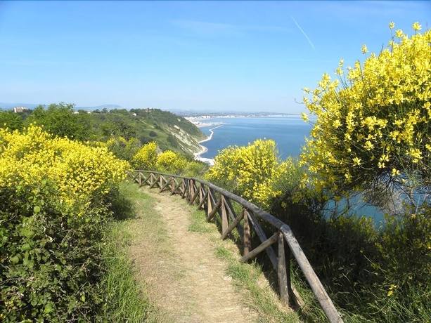 Imagen general del Hotel Alexander, Gabicce Mare. Foto 6