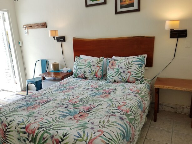 Imagen general del Hotel Alexander Palms Court. Foto 4