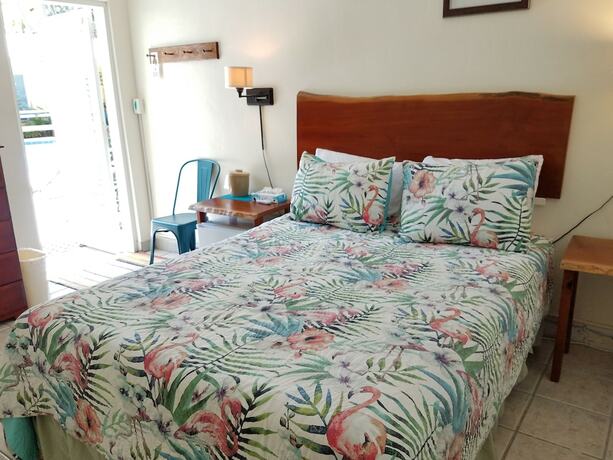 Imagen general del Hotel Alexander Palms Court. Foto 6