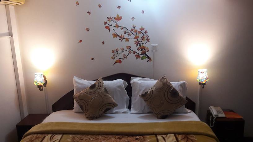 Imagen de la habitación del Hotel Alexander plaza hotel ltd. Foto 3