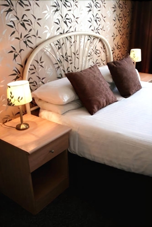 Imagen de la habitación del Hotel Alexander's. Foto 12