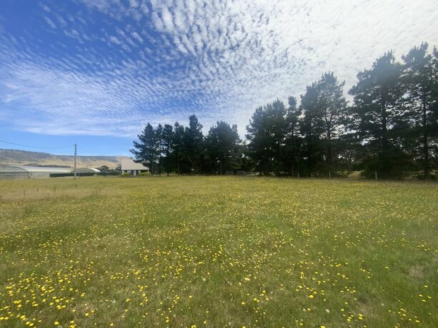 Imagen general del Hotel Alexanders' Of Richmond. Foto 15