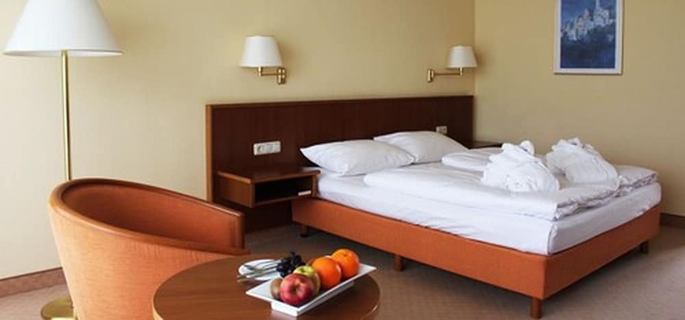 Imagen de la habitación del Hotel Alexandersbad. Foto 12