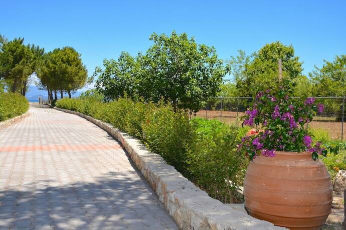 Imagen general del Hotel Alexandra Apartments, Corfu. Foto 11