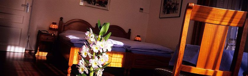 Imagen de la habitación del Hotel Alexandra, Locarno. Foto 9