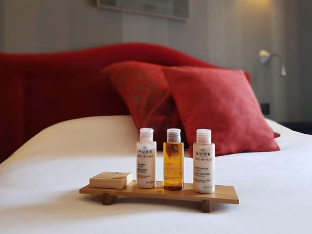 Imagen de la habitación del Hotel Alexandra, Lyon. Foto 5