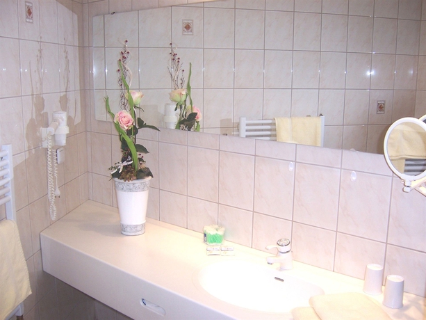 Imagen de la habitación del Hotel Alexandra, Plauen. Foto 8