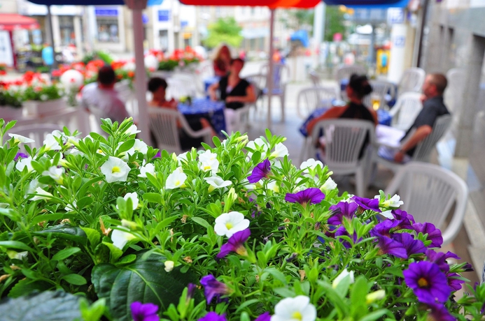 Imagen del bar/restaurante del Hotel Alexandra, Plauen. Foto 5