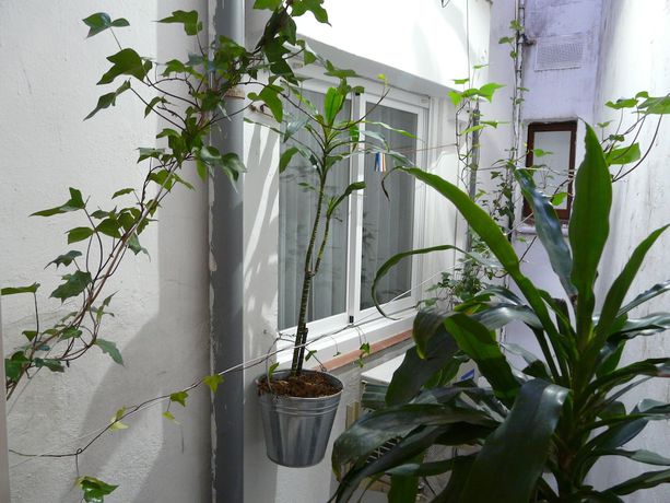 Imagen de la habitación del Hotel Alexandra Sitges. Foto 2