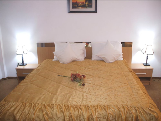 Imagen de la habitación del Hotel Alexandra, Timisoara. Foto 6