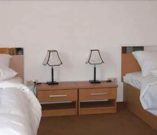 Imagen de la habitación del Hotel Alexandra, Timisoara. Foto 11