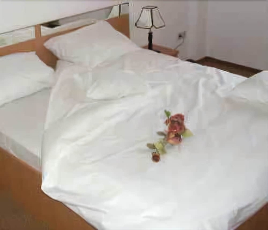 Imagen de la habitación del Hotel Alexandra, Timisoara. Foto 12