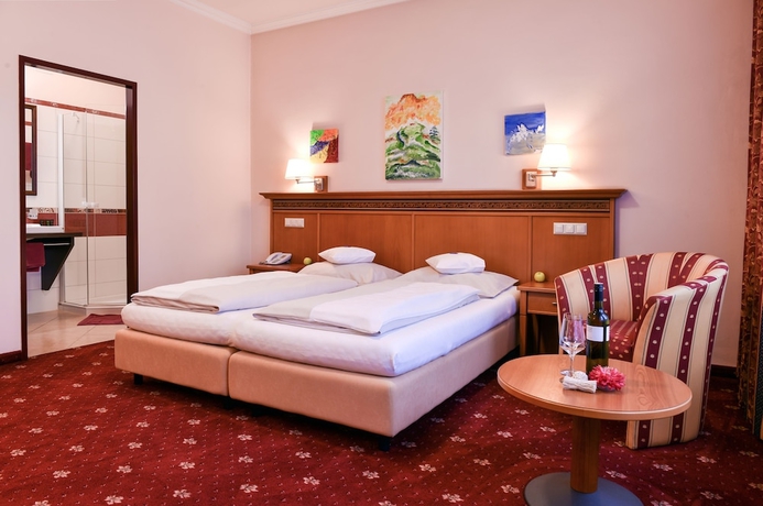 Imagen de la habitación del Hotel Alexandra, Wels. Foto 11