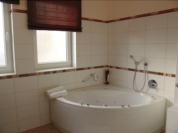 Imagen de la habitación del Hotel Alexandra, Wels. Foto 15