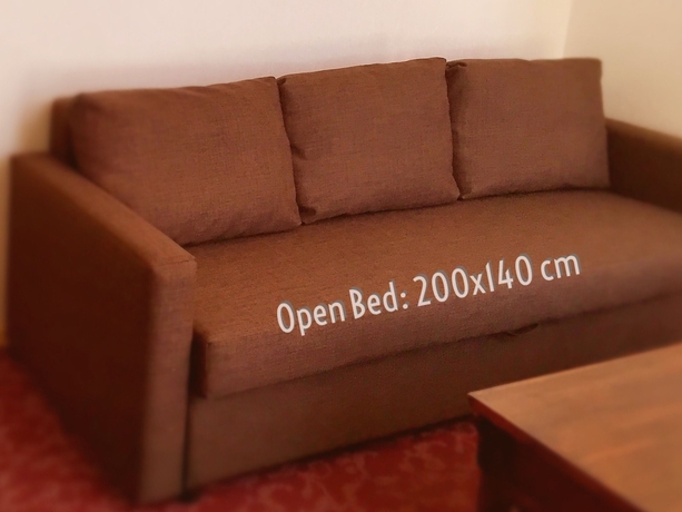 Imagen de la habitación del Hotel Alexandre Iii. Foto 4