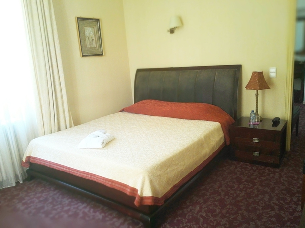 Imagen de la habitación del Hotel Alexandre Iii. Foto 5