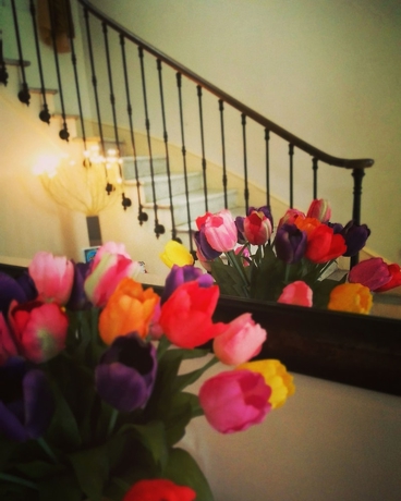 Imagen de los interiores del Hotel Alexandre Iii. Foto 18