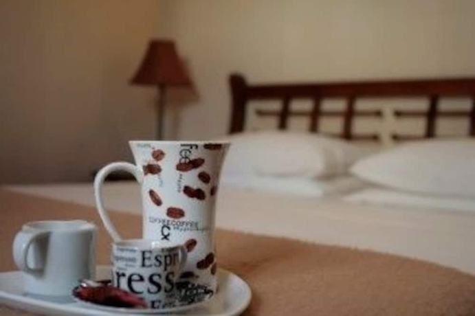 Imagen de la habitación del Hotel Alexandre Iii. Foto 15