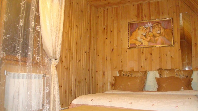 Imagen de la habitación del Hotel Alexandria-vnukovo. Foto 3