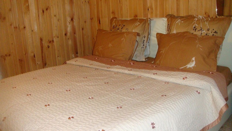 Imagen de la habitación del Hotel Alexandria-vnukovo. Foto 8