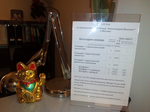 Imagen de los interiores del Hotel Alexandria-vnukovo. Foto 20