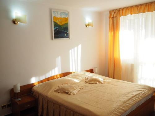 Imagen general del Hotel Alexandros Busteni by Genco & Restaurant Miorita. Foto 3