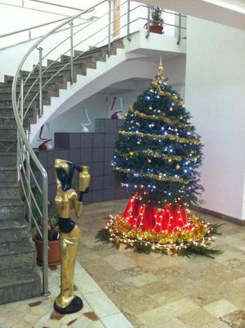Imagen general del Hotel Alexandros Busteni by Genco & Restaurant Miorita. Foto 10