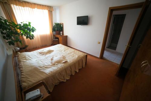Imagen de la habitación del Hotel Alexandros Busteni by Genco & Restaurant Miorita. Foto 19