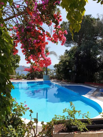 Imagen general del Hotel Alexandros, Léucade. Foto 1