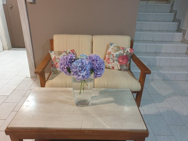Imagen de los interiores del Hotel Alexandros, L&eacute;ucade. Foto 17