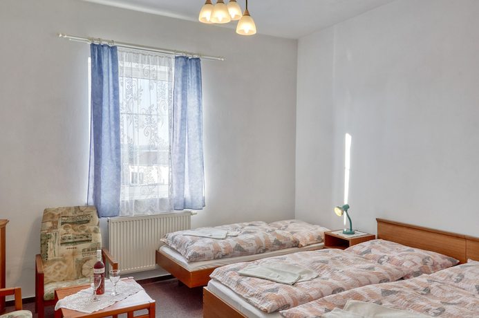 Imagen de la habitación del Hotel Alf, Borovany. Foto 8