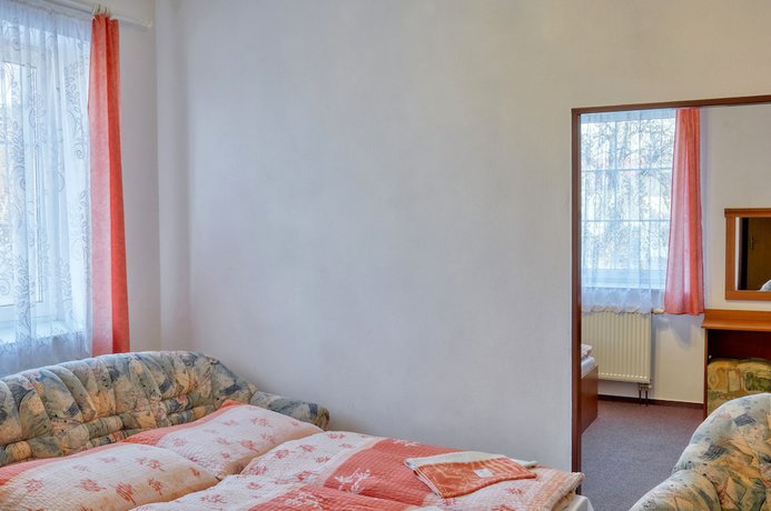 Imagen de la habitación del Hotel Alf, Borovany. Foto 10