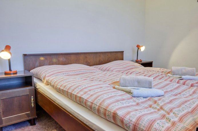Imagen de la habitación del Hotel Alf, Borovany. Foto 11
