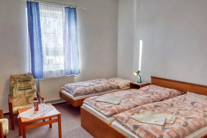 Imagen de la habitación del Hotel Alf, Borovany. Foto 13